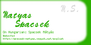 matyas spacsek business card